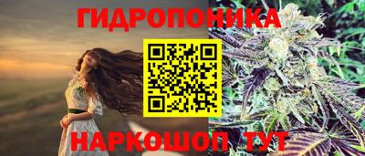 не бодяженный Лесосибирск