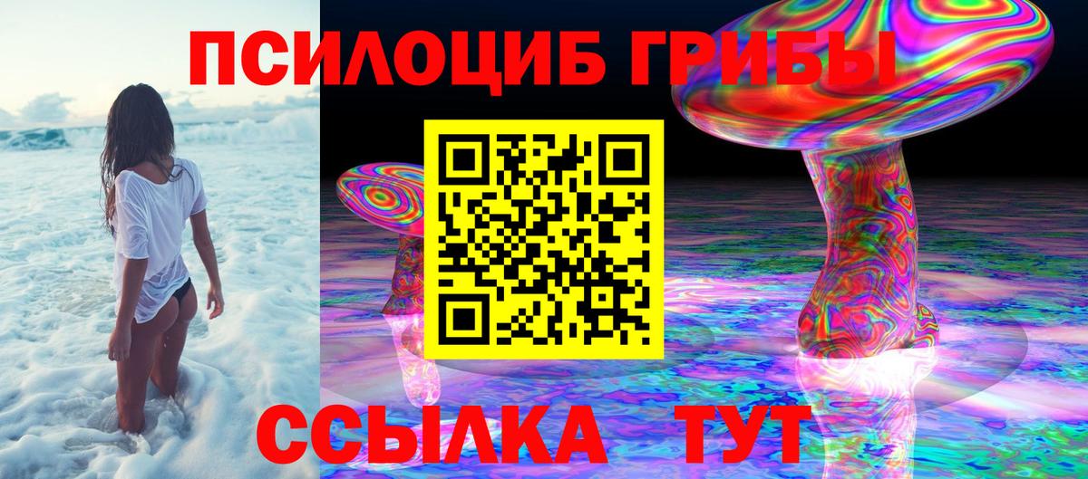 Псилоцибиновые грибы Magic Shrooms  Галлюциногенные грибы GOLDEN TEACHER  Вход с VPN  Звенигород 
